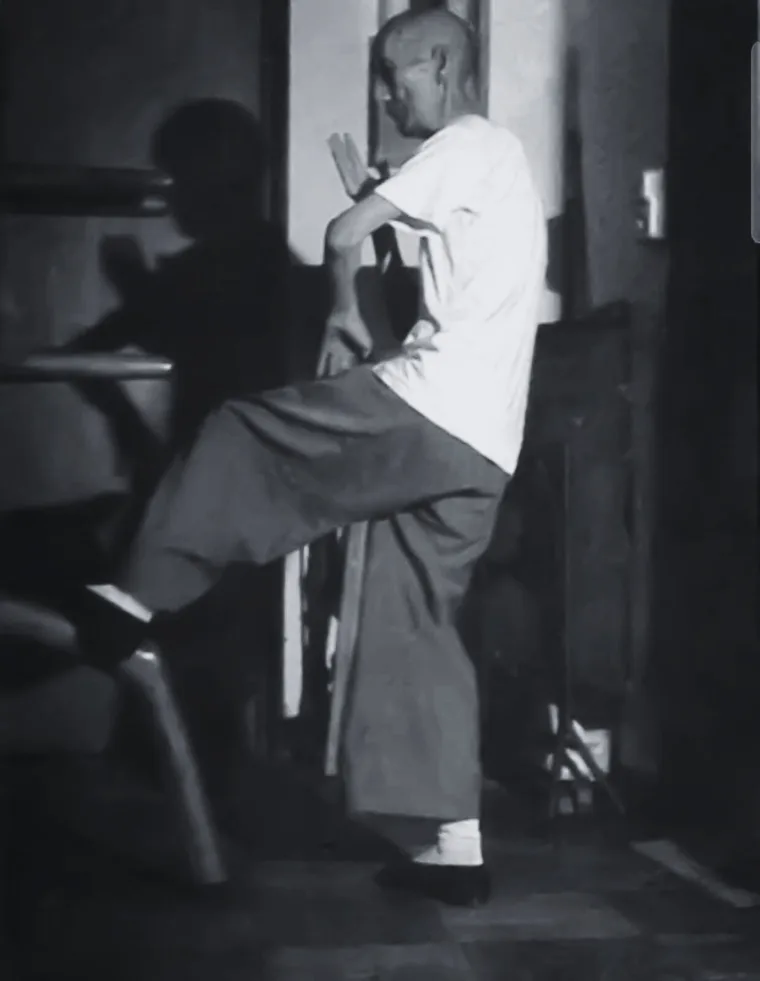 Patriarch Ip Man